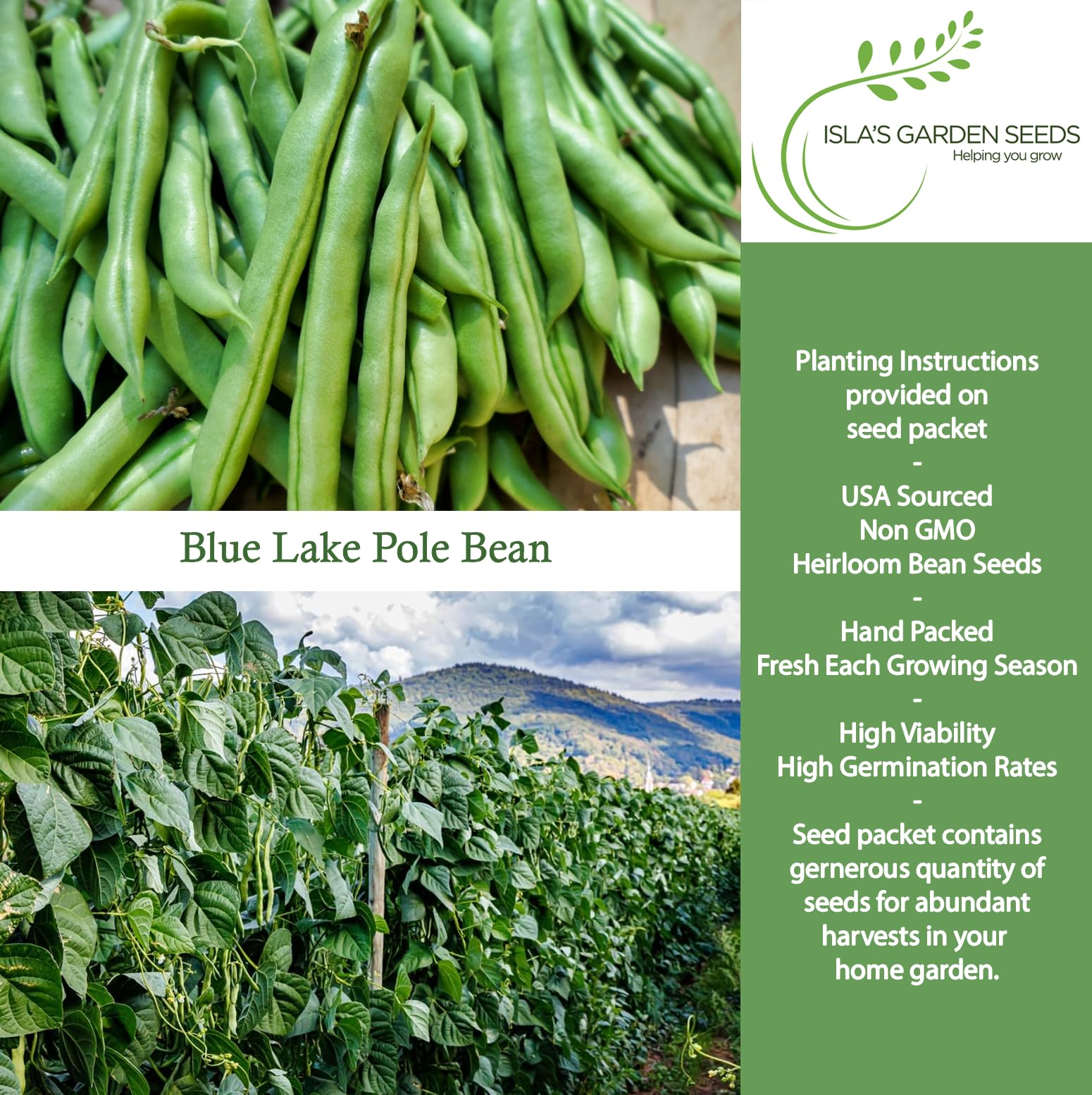 Isla’s Garden Seeds Blue Lake vines climb 8–10 ft tall with sturdy support