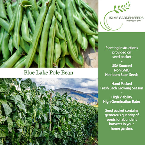 Isla’s Garden Seeds Blue Lake vines climb 8–10 ft tall with sturdy support
