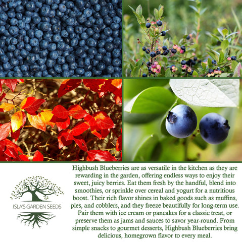 Isla's Garden Seeds highbush bloom period with May–July flowers