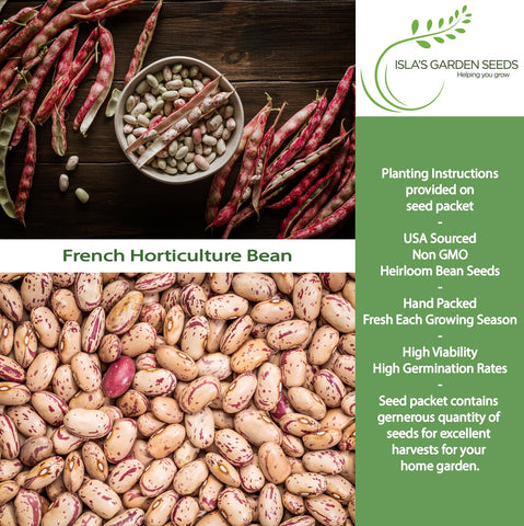 Isla's Garden Seeds Borlotti beans speckled seeds ideal for fresh eating or drying.