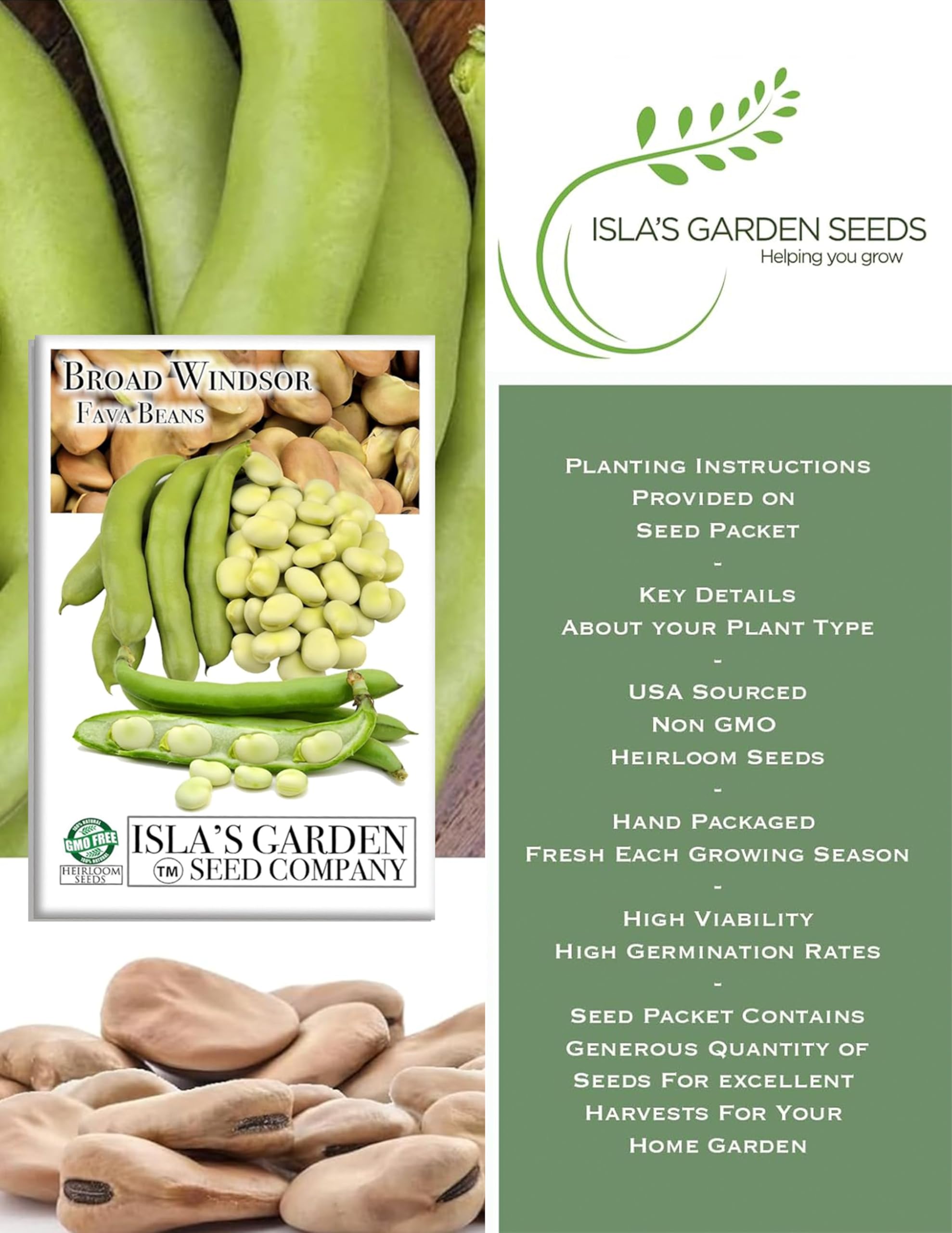 Broad Windsor seed pack from Isla's Garden Seeds, great for home gardening.