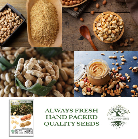 Isla's Garden Seeds Carolina African Runner seed packet with growing instructions for beginners