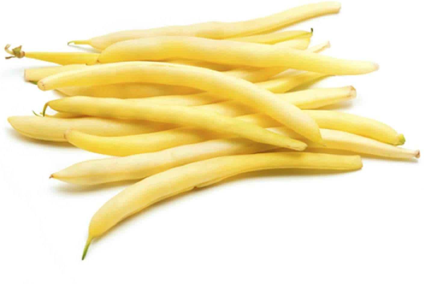 Isla's Garden Seeds Cherokee Wax Beans bush plant with compact habit