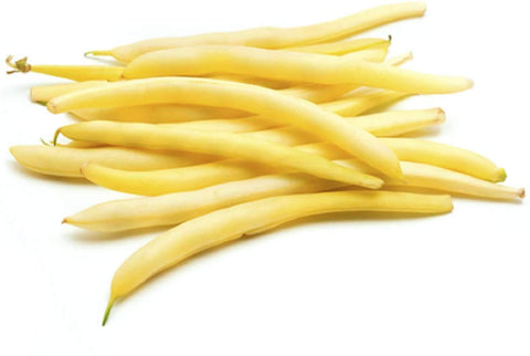 Isla's Garden Seeds Cherokee Wax Beans bush plant with compact habit