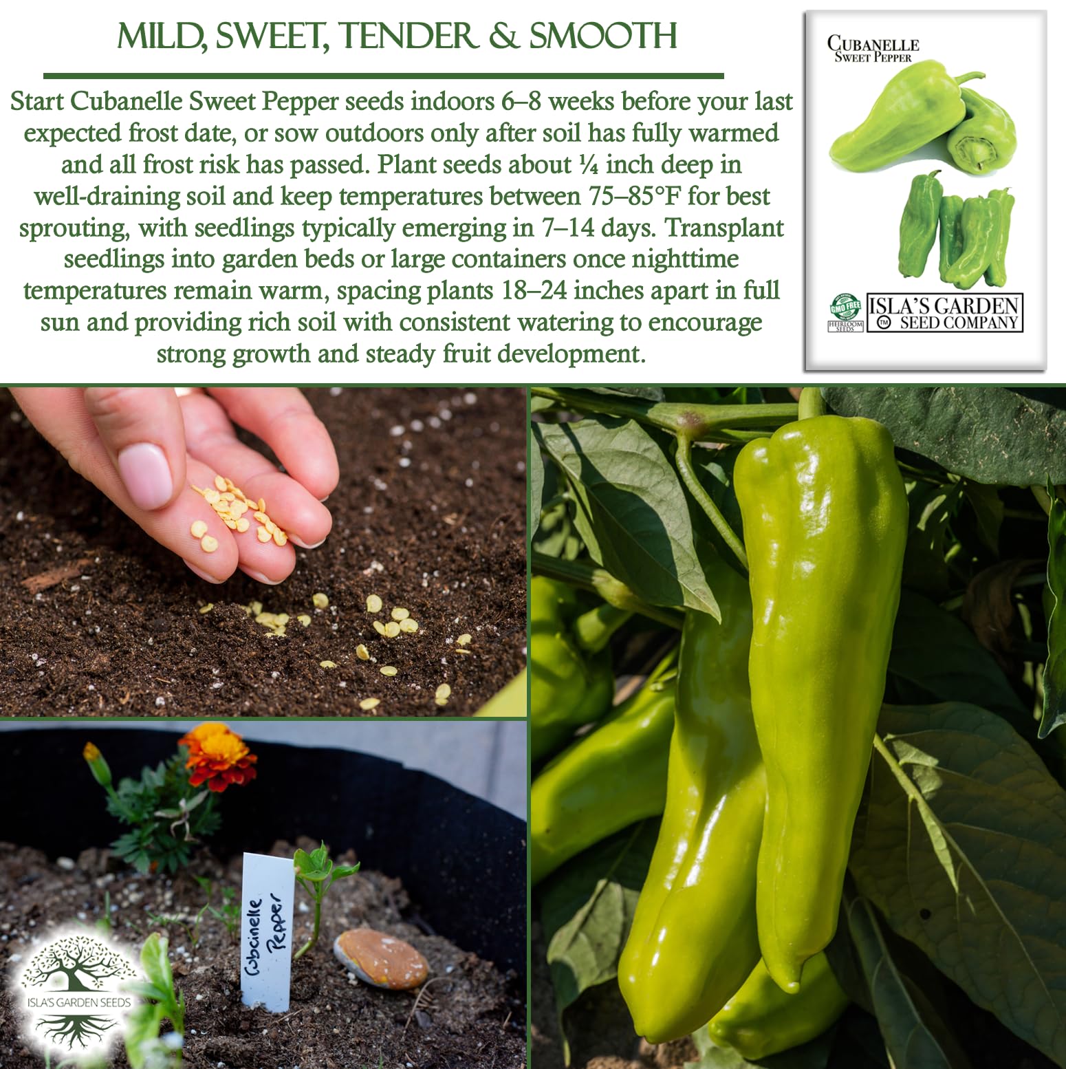 Harvest-ready Cubanelle peppers from Islas Garden Seeds for kitchen prep.
