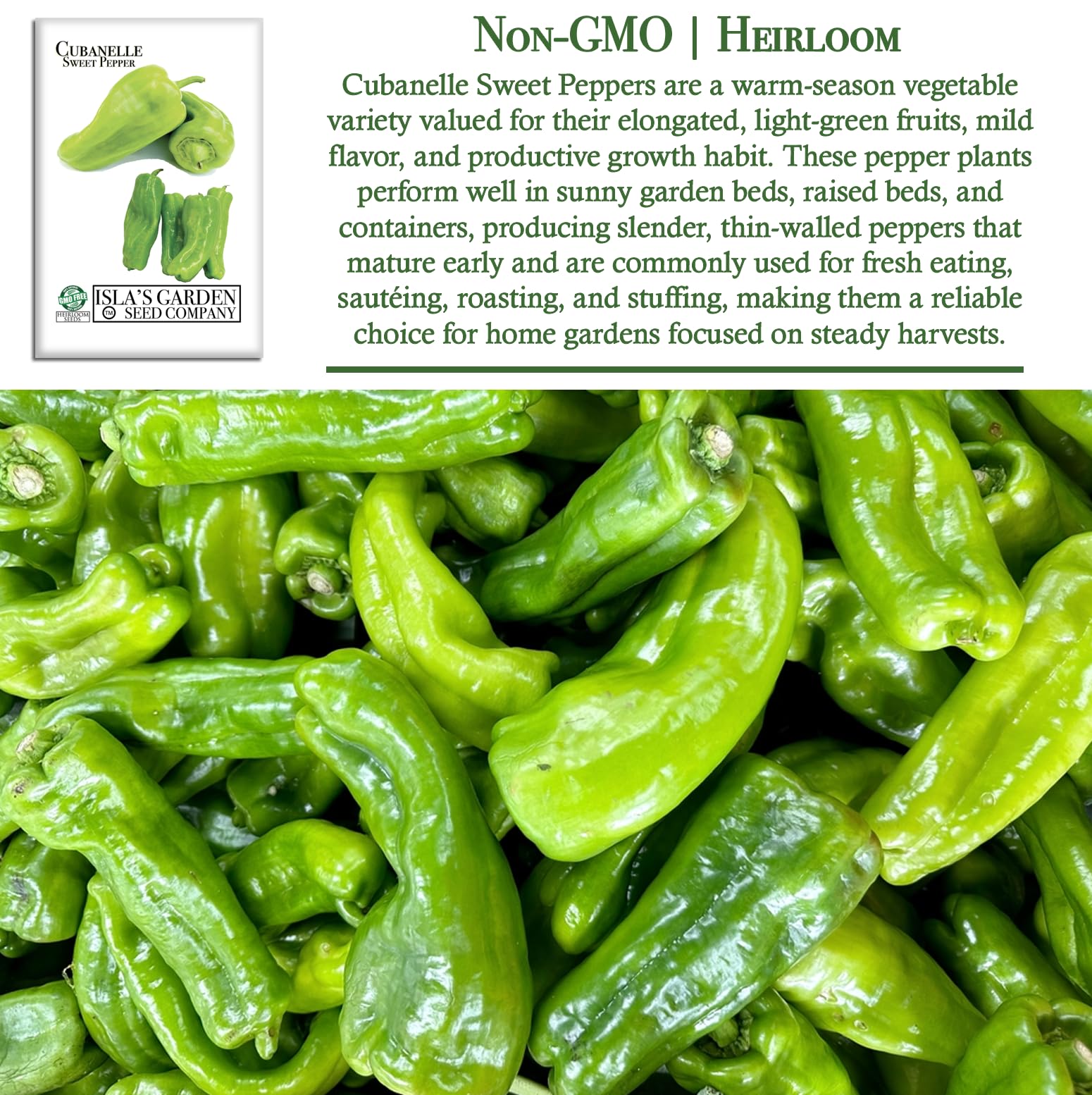 Yellow Cubanelle peppers from Islas Garden Seeds showing color.