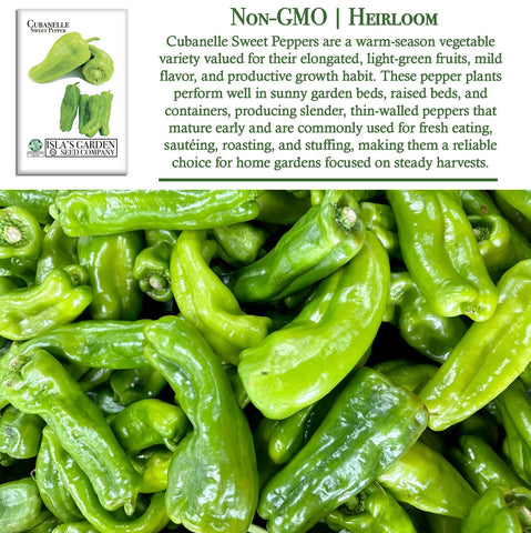 Yellow Cubanelle peppers from Islas Garden Seeds showing color.