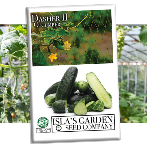 Isla's Garden Seeds Dasher II cucumber seed packet for home gardening.