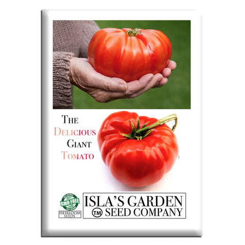 Isla's Garden Seeds Delicious Giant Beefsteak tomato fruit ready for thick slices