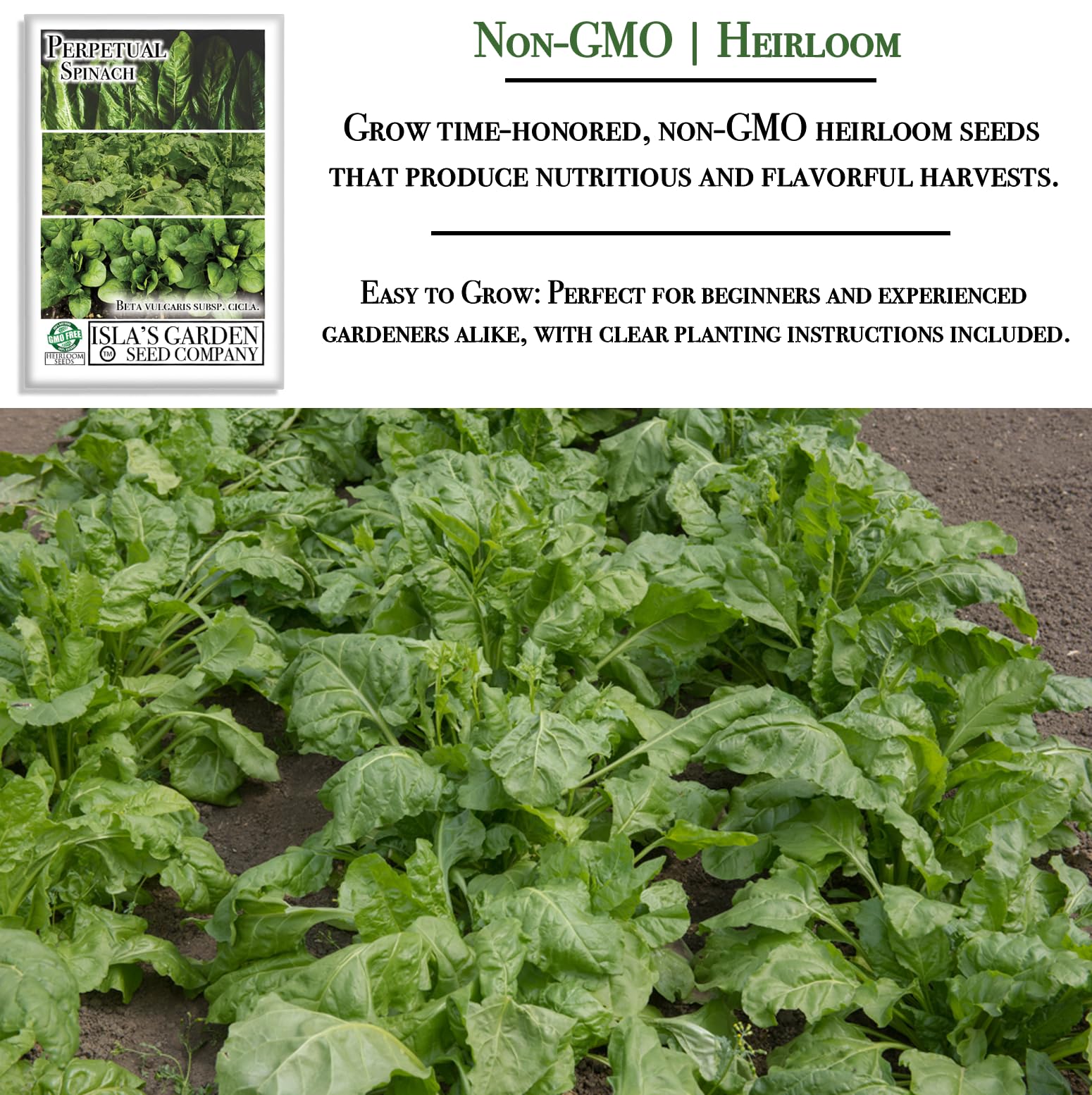 Isla's Garden Seeds direct sow into soil for easy, productive start.