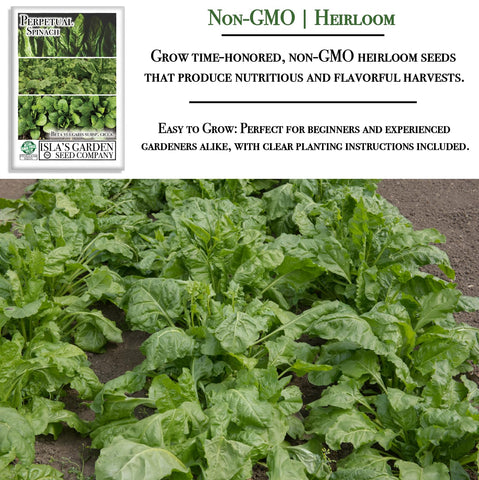 Isla's Garden Seeds direct sow into soil for easy, productive start.
