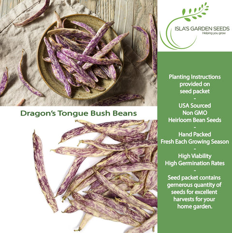 Dragon's Tongue pods with creamy color and purple stripes ideal for salads