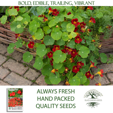 Front view of Empress of India nasturtium seed packet from Isla's Garden Seeds