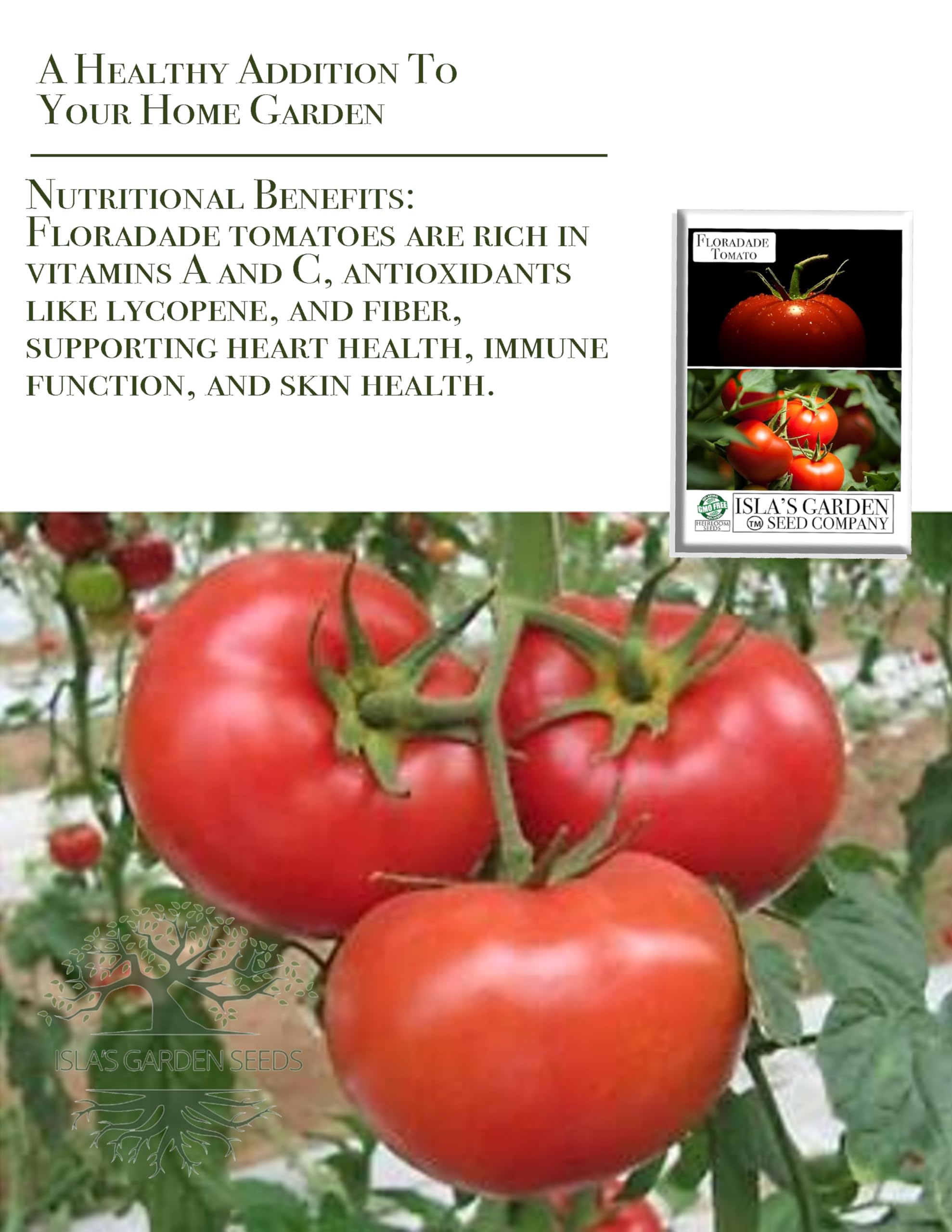 Open-pollinated Floradade heirloom seeds offering versatile garden production.