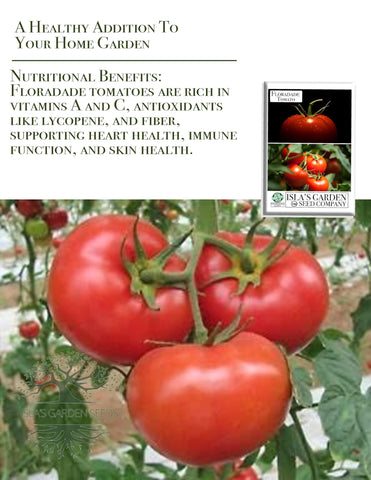 Open-pollinated Floradade heirloom seeds offering versatile garden production.