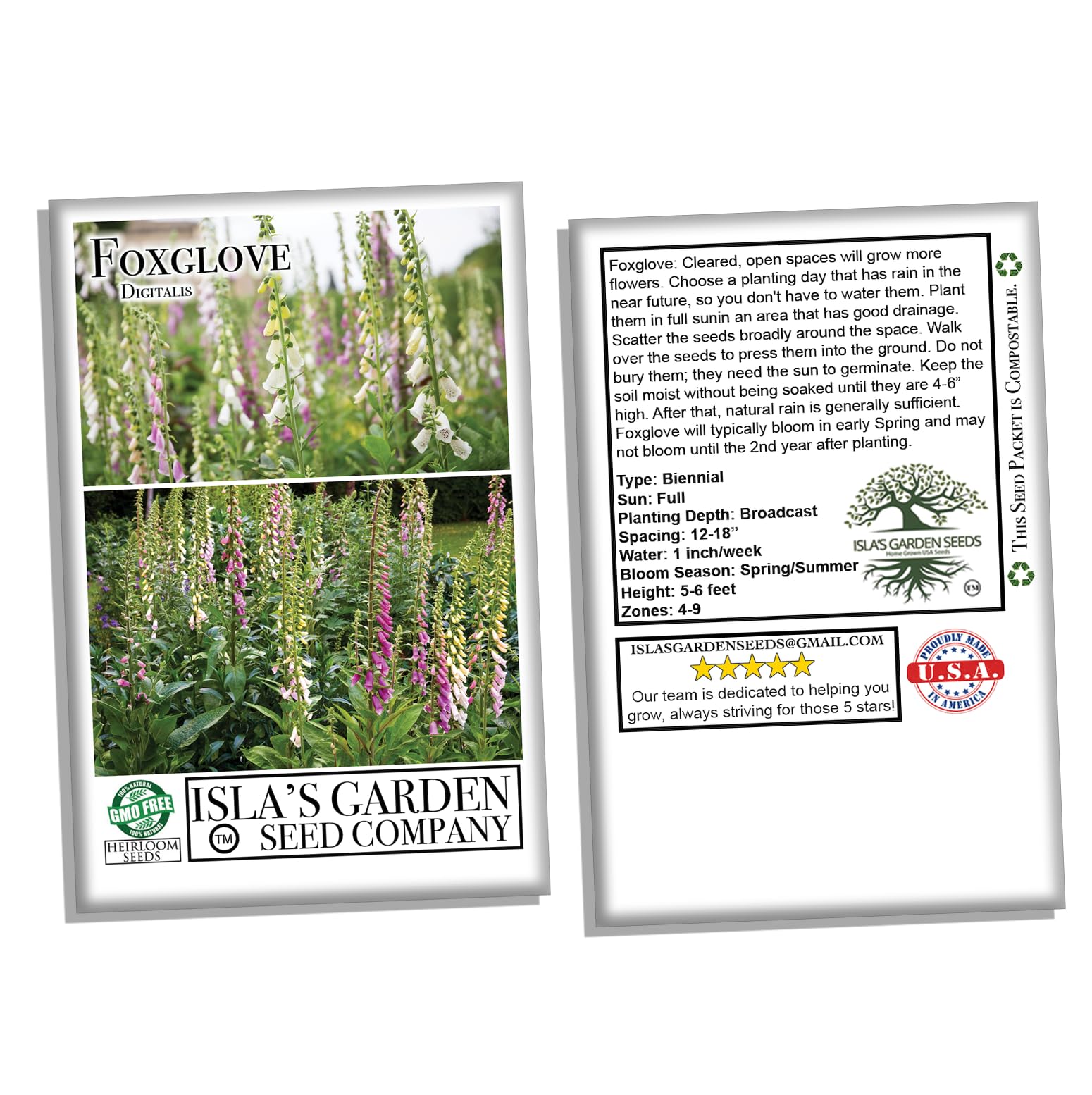 Isla's Garden Seeds Foxglove border display with tall spikes