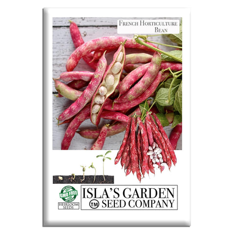 Isla's Garden Seeds French Horticulture beans plant shows vigorous bush growth for easy harvests.