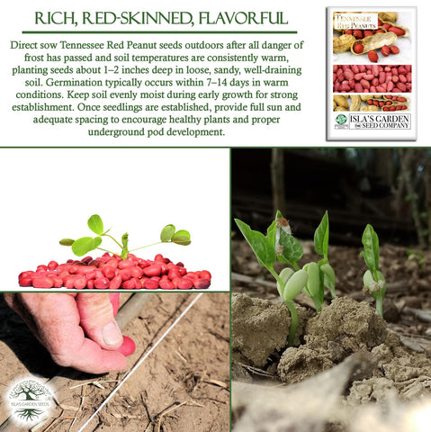 Isla's Garden Seeds gift-ready packaging appeals to home gardeners