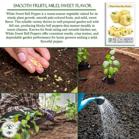 Isla's Garden Seeds peppers maturing green to brown, adding visual interest to your garden