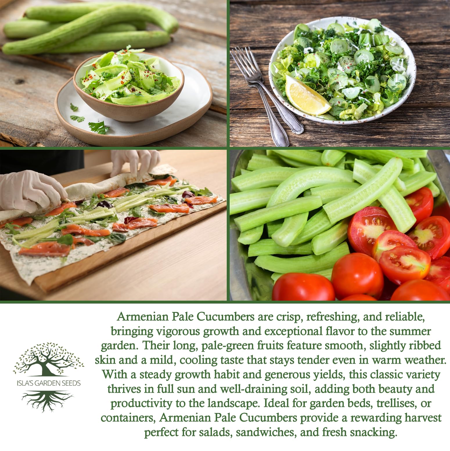 Isla's Garden Seeds harvest-ready cucumbers ideal for salads