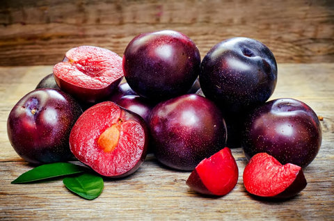 Indoor seed starting setup to grow robust plum seedlings.