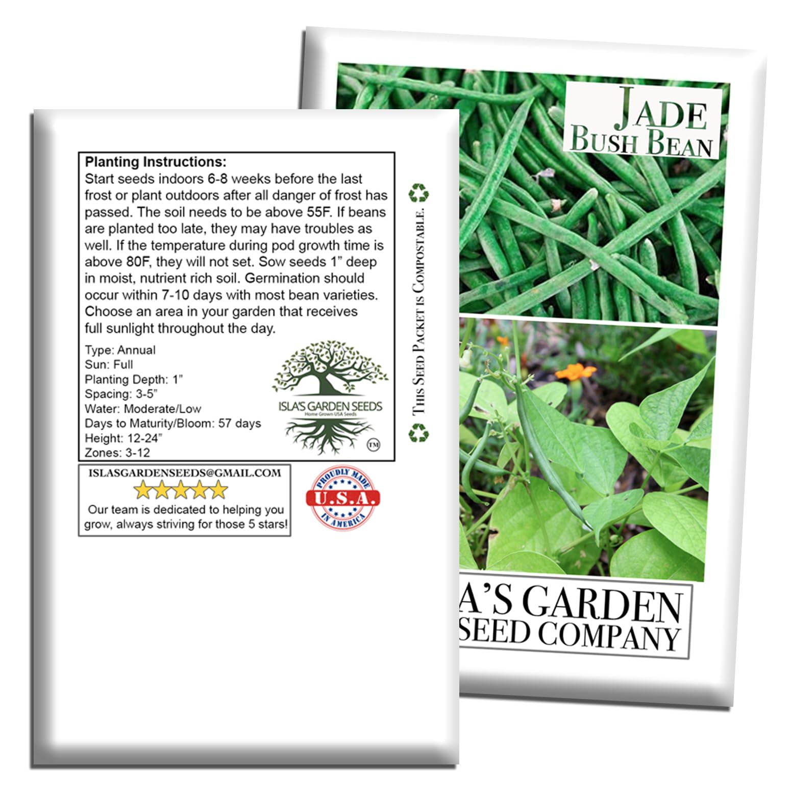 Isla's Jade beans benefit from moderate, even watering for tender pods.