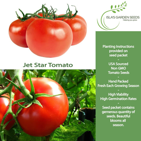 Jet Star tomato plants thriving in a sunny home garden