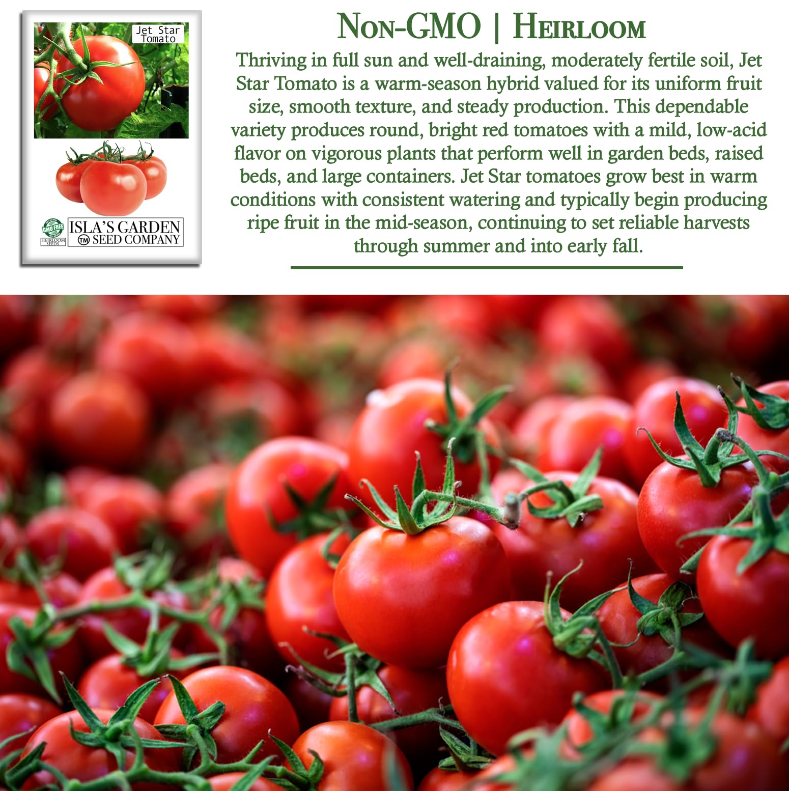 Ripe Jet Star tomatoes with smooth texture and mild flavor