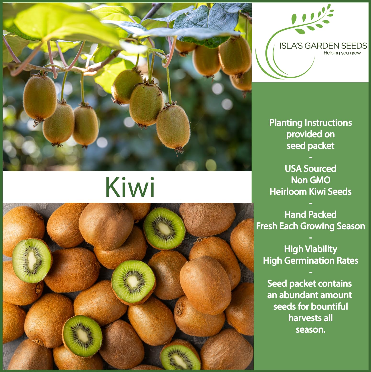 Isla's Garden Seeds kiwi-vine bloom on a branch, hinting at pollination opportunities