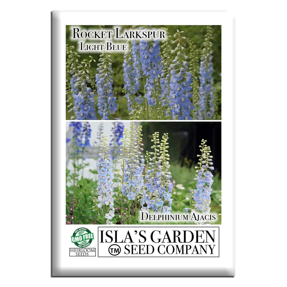 Isla's Garden Seeds Larkspur Rocket Light Blue bloom adds sky-blue height for cottage borders.