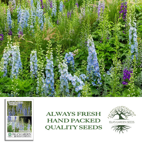 Isla's Garden Seeds Larkspur Rocket Light Blue cut-flower idea for arrangements.