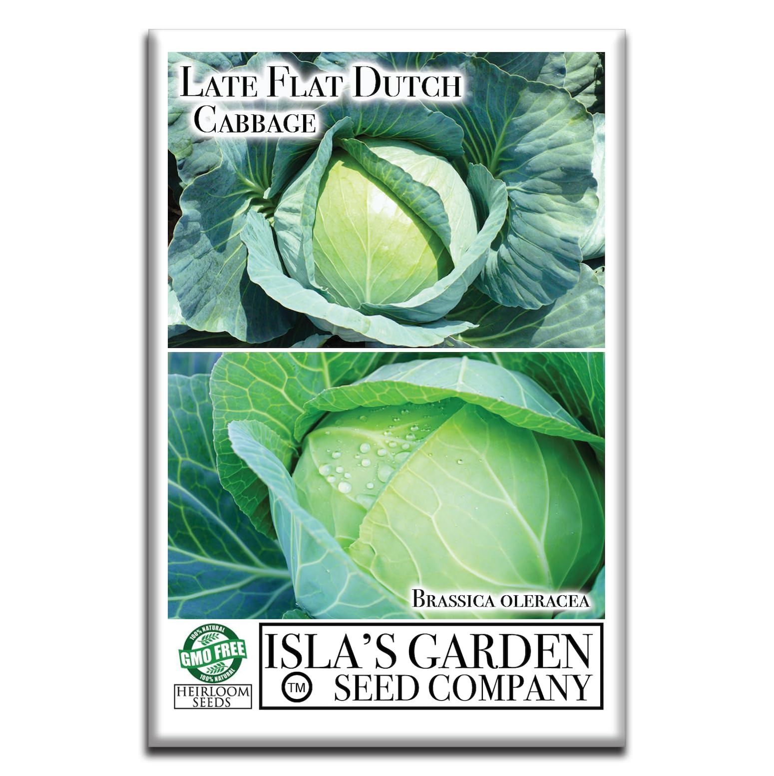Isla's Garden Seeds cabbage garden plot view, ideal for late-season harvest planning
