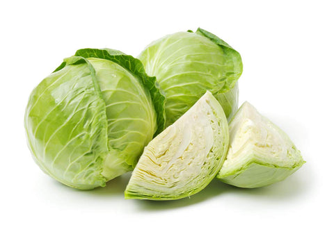 Isla's Garden Seeds Late Flat Dutch cabbage head closeup, showing 12-inch flattened heads for storage
