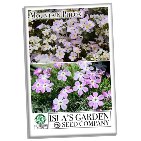 Isla's Garden Seeds Mountain Phlox fragrant flowers enhance borders and add scent to outdoor spaces.