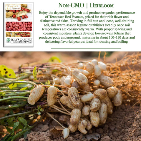 Isla's Garden Seeds Non-GMO label on packet signaling trusted, garden-ready peanuts