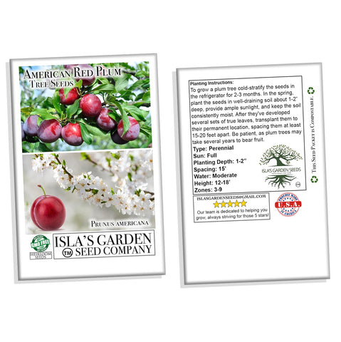 Outdoor planting and transplanting guidance for spring plum trees.