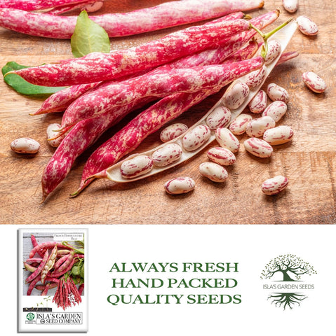 Isla's Garden Seeds proper plant spacing supports healthy, productive vines.