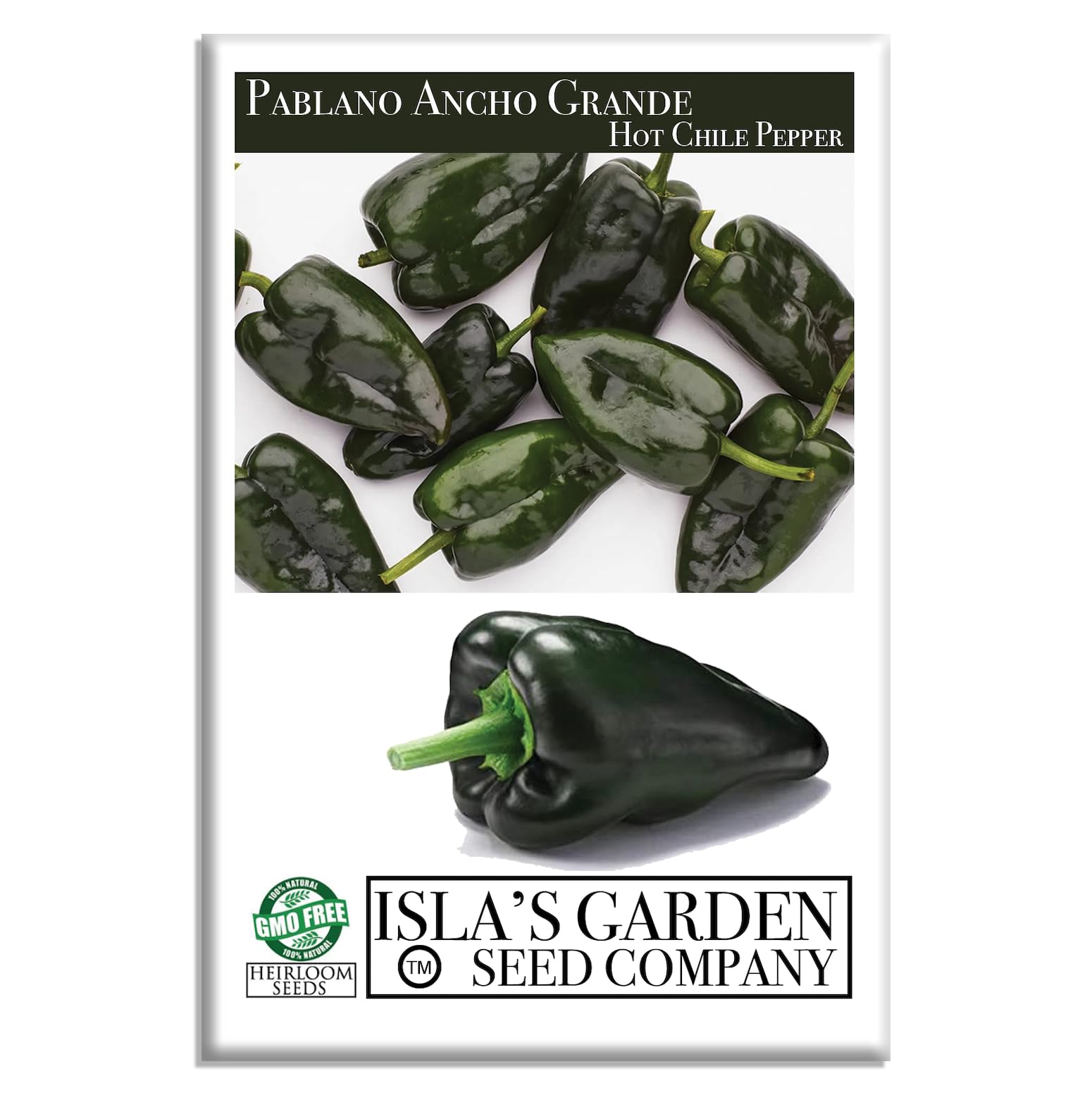 Isla's Garden Seeds Poblano Ancho Grande seedling ready for transplant in sunny bed