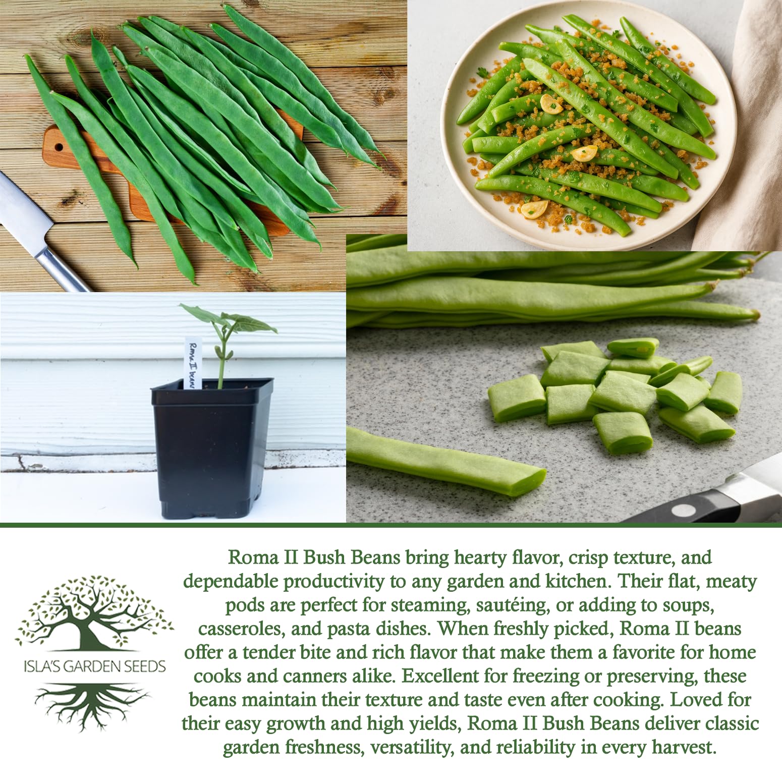 Isla's Garden Seeds Roma II beans suit zones 3–9 for many regions.