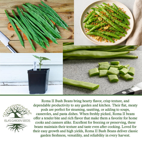 Isla's Garden Seeds Roma II beans suit zones 3–9 for many regions.