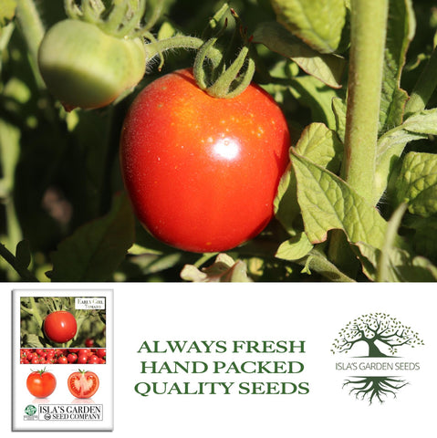 Isla's Garden Seeds salad-ready tomatoes ideal for quick meals.