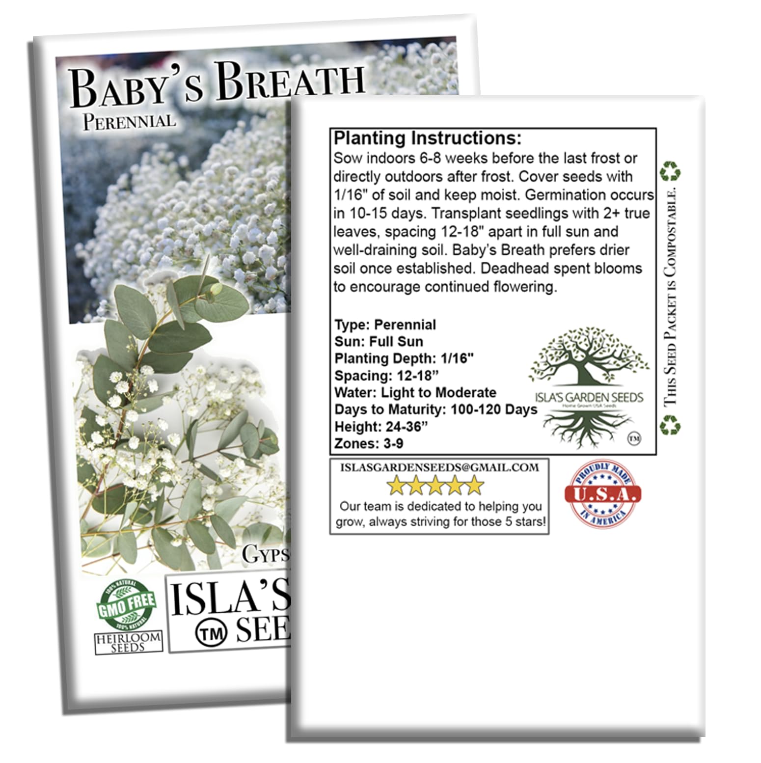 Isla’s Garden Seeds self-seeding baby's breath; natural reseeding for effortless fullness.