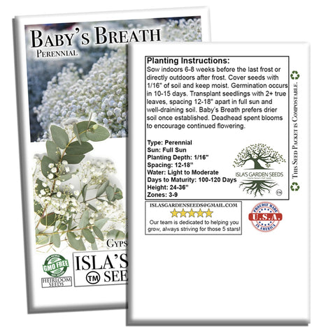 Isla’s Garden Seeds self-seeding baby's breath; natural reseeding for effortless fullness.