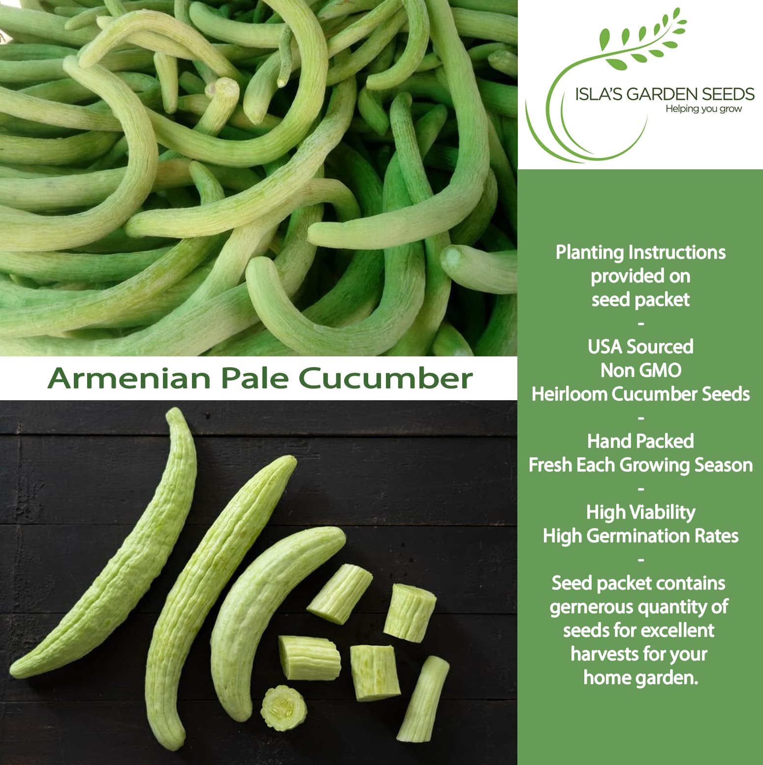 Isla's Garden Seeds serpent cucumber vine showing twisting growth for training