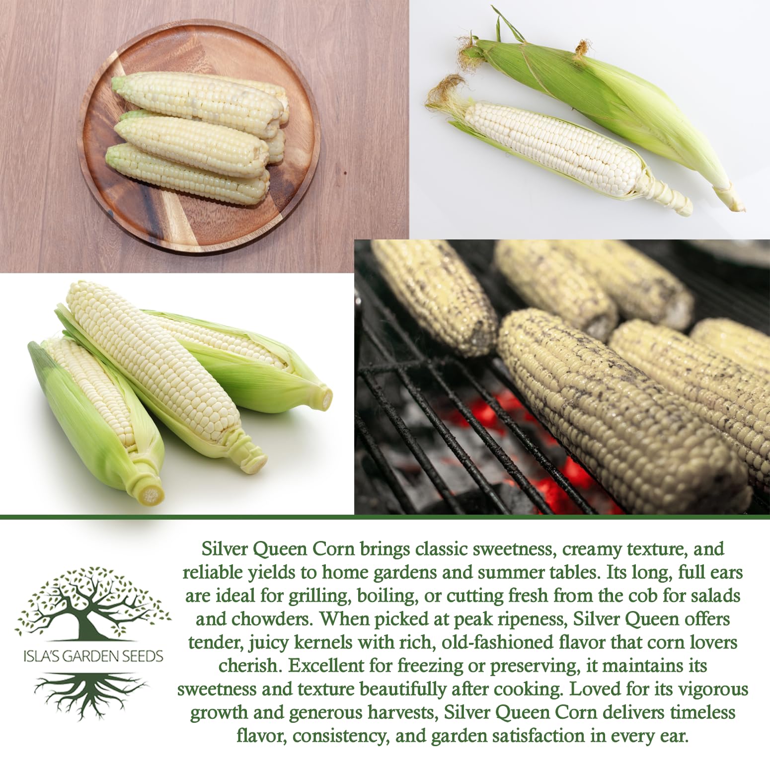 Frozen Silver Queen corn kernels preserved for later meals
