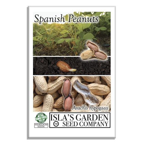 Isla’s Garden Seeds Spanish peanut seeds – early-maturing for quick harvest and roasting.
