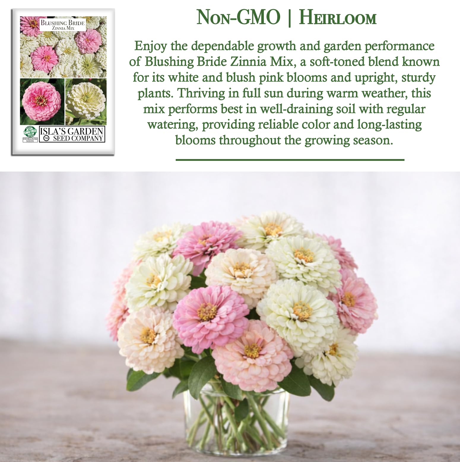 Strong-stem zinnia plants from Isla's mix ideal for bouquets.