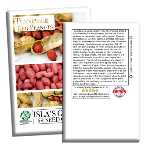 Isla's Garden Seeds in sunlit garden bed illustrating ready-to-plant peanuts