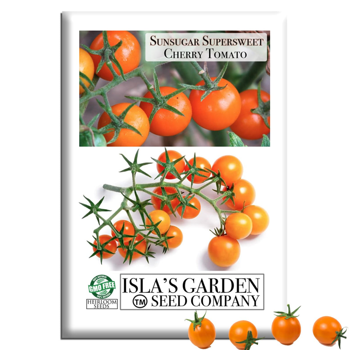 Isla’s Garden Seeds Sunsugar Supersweet tomato plant cluster with vibrant orange cherries for fresh snacking.