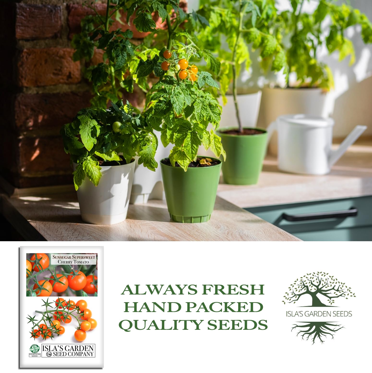 Isla’s Garden Seeds Sunsugar seedling starts indoors for a smooth, early-season jump.